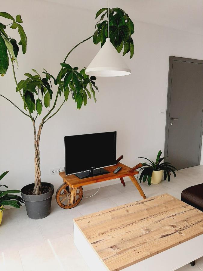 Green Bee Apartment Lesce  Bagian luar foto